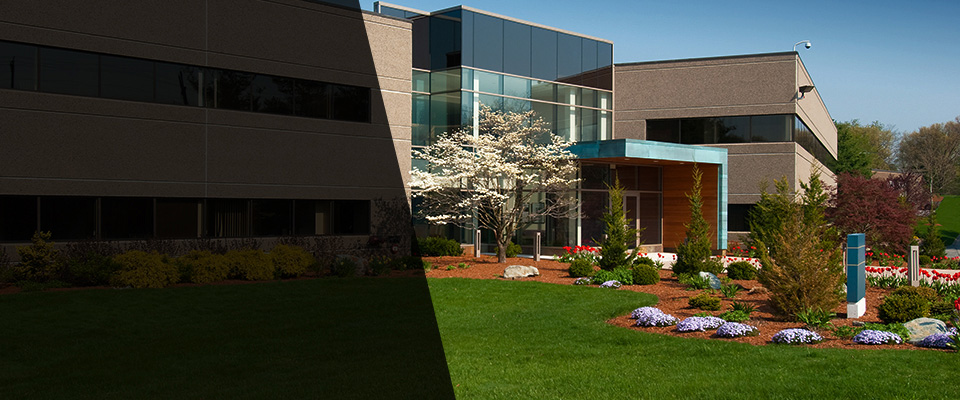 Nesquehoning Landscapers