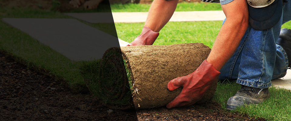 Nesquehoning Landscapers